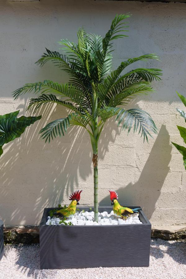 L'Escale Tropicale, Appartement Independant Avec Terrasse Privative 생캉탱 외부 사진